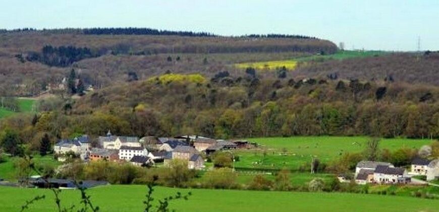 Superbe gîte au cœur du village de Hamoir