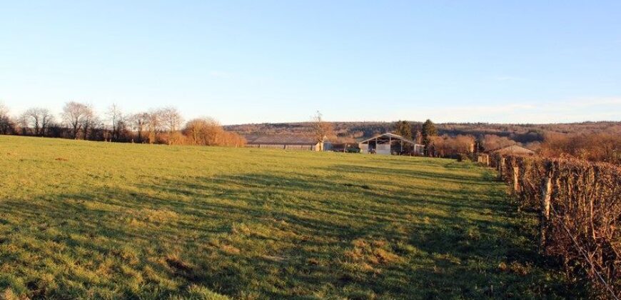 Grand terrain de plus de 12.000m²