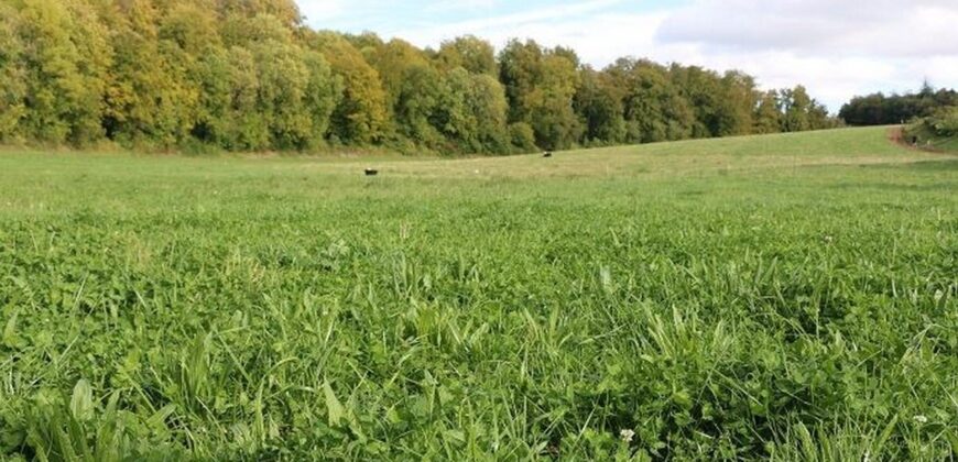 Parcelles de pature à vendre occupées