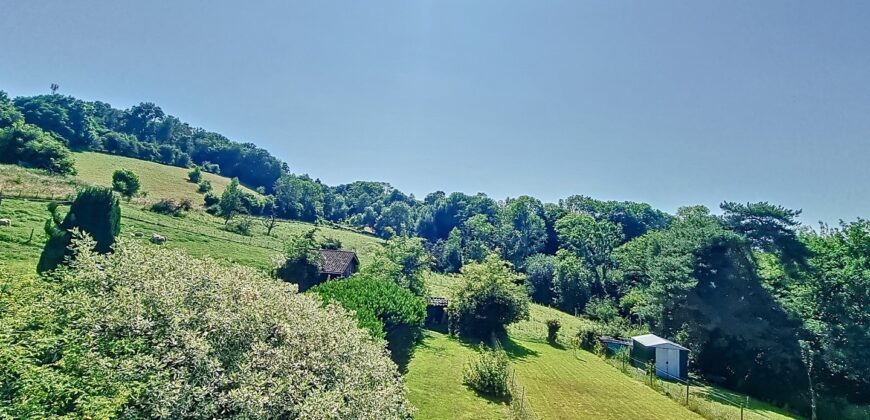 Maison en pierres du pays