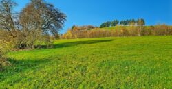 Très beau terrain à bâtir de plus de 750m²