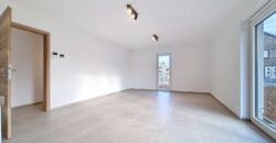 Appartement 3 chambres très lumineux avec jardin