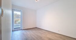 Appartement 3 chambres très lumineux avec jardin