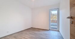 Appartement 3 chambres très lumineux avec jardin