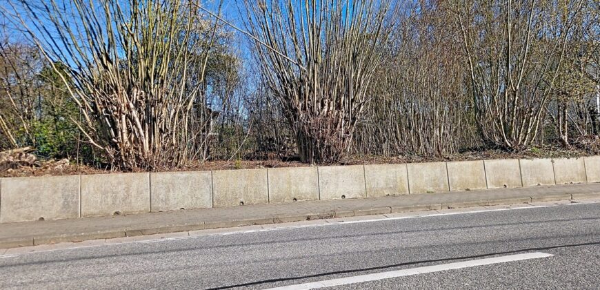 Grande maison 4 chambres avec possibilités de profession libérale