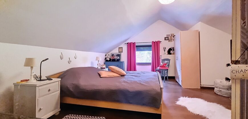 Avis aux investisseurs, deux maisons sur un terrain de plus de 1600m²