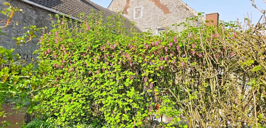 Grande maison 5 chambres à rafraichir, exploitable sur 250m²